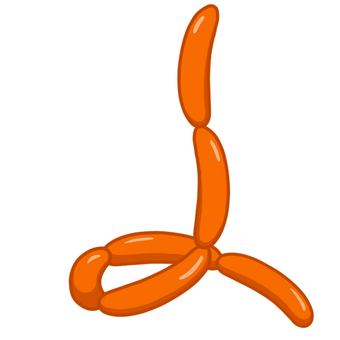 つながったソーセージ ソーセージ,加工肉,食材,シンプル,手描き,手書き,イラスト,カット,イメージ,透過のイラスト素材