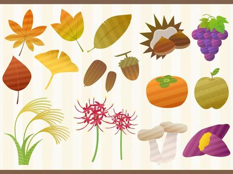 秋の植物 秋,落ち葉,ススキ,彼岸花,栗,ぶどう,柿,梨,エリンギ,さつまいものイラスト素材