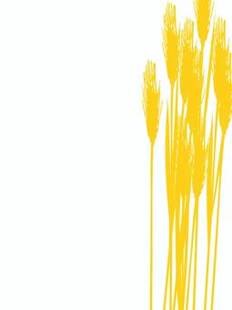 黄金色の麦穂シルエット　mugi025 麦穂,黄金色,リアル,シルエット,ナチュラル,お洒落,自然,植物,大人っぽい,枠のイラスト素材