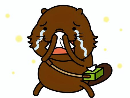 Beaver's hay fever, JPG, PNG and EPS Beaver's hay fever, hay fever, beaver, tissue, JPG, PNG and EPS