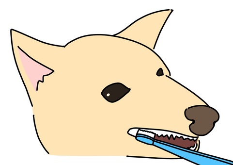 歯磨きする犬　カラー 歯磨き,歯ブラシ,犬,清潔,カラーのイラスト素材