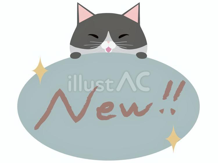 new_猫 new,猫,はちわれのイラスト素材