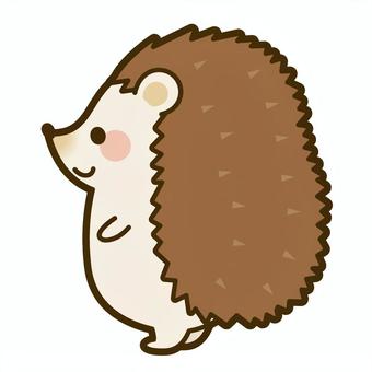 Illustration, hedgehog, animal, landscape, 