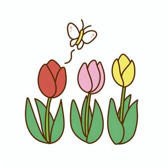 Butterflies flying around tulips, tulip, butterfly, spring, JPG, PNG and EPS