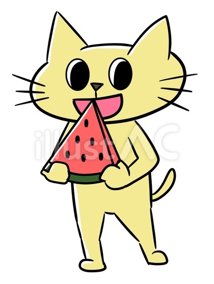 スイカを食べるねこ