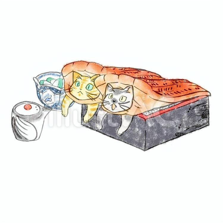 鰻重ねこ 土用,丑の日,猫のイラスト素材