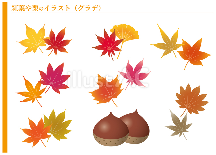 紅葉や栗のイラストセット（グラデ）_25 秋,紅葉,セットのイラスト素材