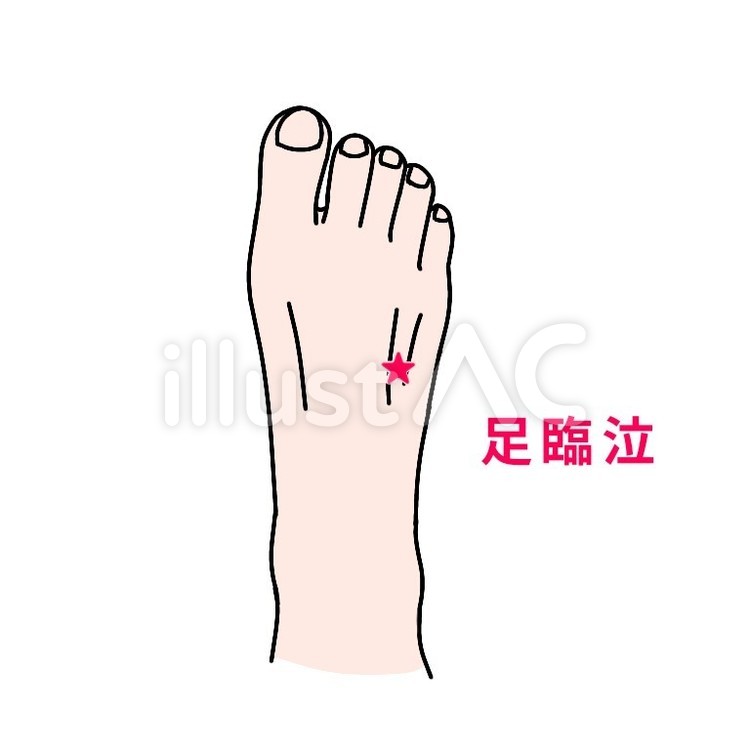 足のつぼー足臨泣 足,甲,つぼのイラスト素材