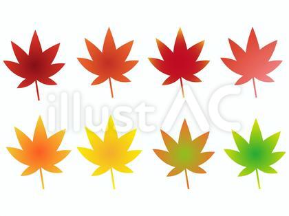 グラデーションがかかっている紅葉セット