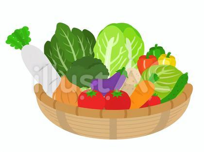 野菜 カゴ入り 詰め合わせ