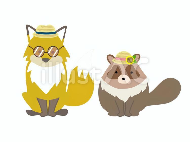 キツネとたぬき夏 キツネ,タヌキ,動物のイラスト素材