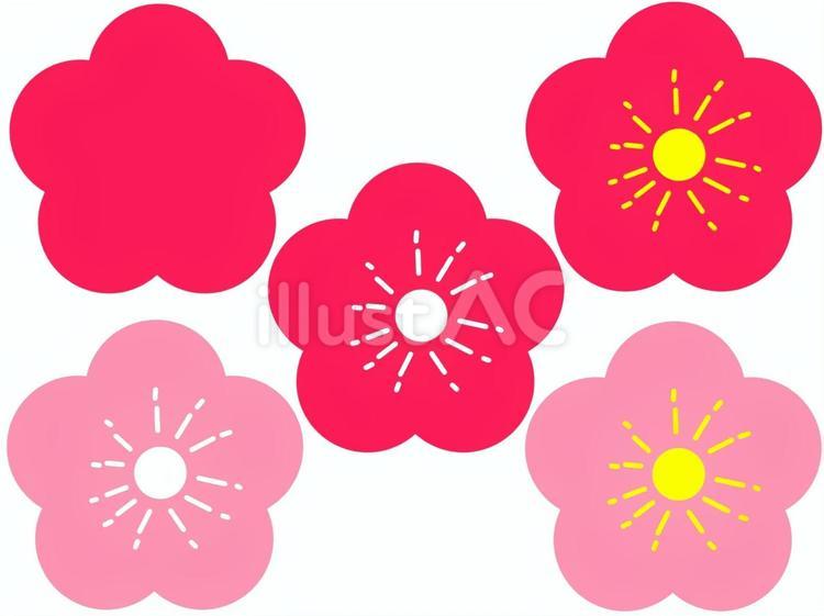 梅の花セット 梅,花,春のイラスト素材