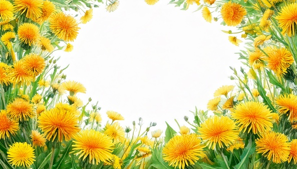 Dandelion Background, dandelion, background, frame, JPG