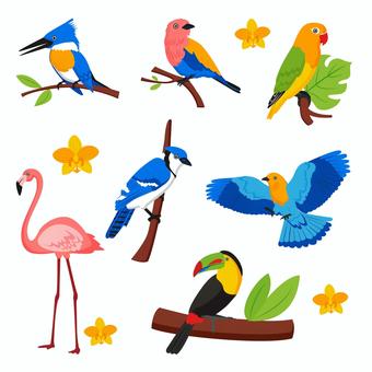 Flamingos and several other tropical birds, bird, tropics, flamingo, JPG, PNG and AI