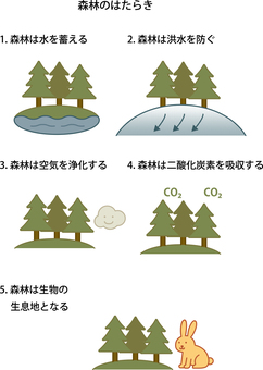 森林のはたらき 森林,co2,空気,洪水,うさぎのイラスト素材