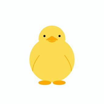鳥の子供　ひよこ　アヒルの子 ヒヨコ,アヒル,鳥,子供,アイコン,シンプル,かわいい,黄色のイラスト素材