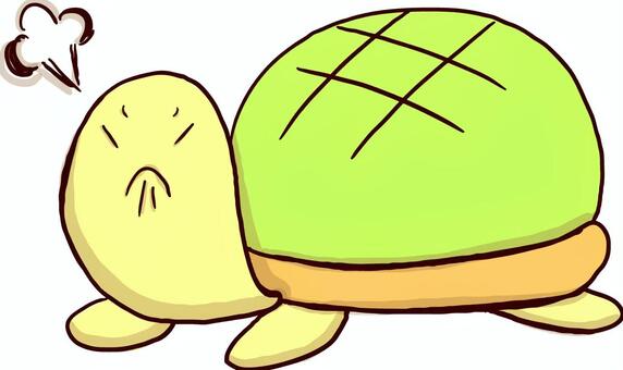 Illustration, turtle, a pet, animal, 