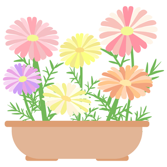 植木のマーガレット（線なし） 植木,マーガレット,植木鉢,鉢,ガーデニング,花,植物,趣味,イラスト,線なしのイラスト素材