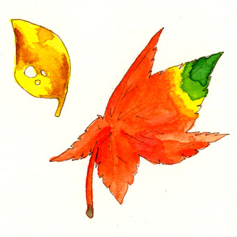 Red leaf C, leaf, autumn leaves, red, JPG and PNG