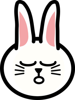 兎　動物　
