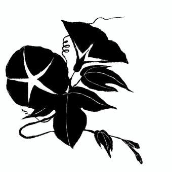 黒い朝顔のイラスト２ 朝顔,葉,花,ツル,植物,植え込み,黒,モノトーン,シルエット,夏休みのイラスト素材