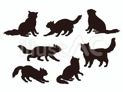 長毛猫 シルエット