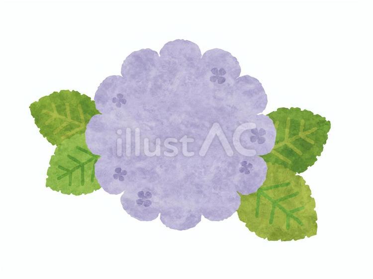 かわいい手描き風あじさいフレーム　紫 あじさい,紫陽花,フレームのイラスト素材
