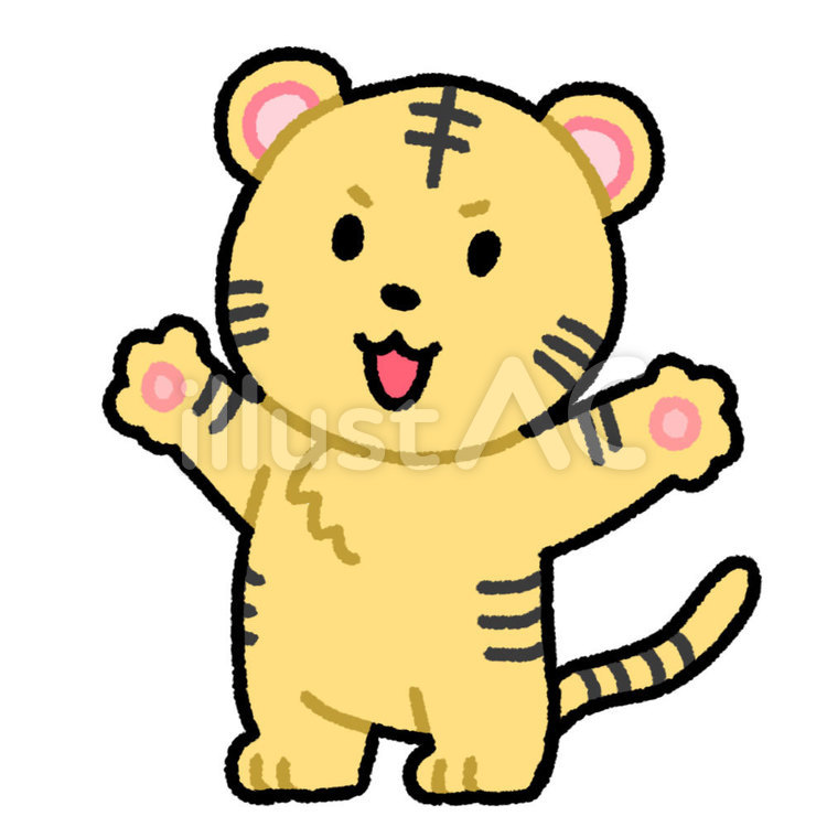 干支　トラ（寅（とら）） トラ,干支,動物のイラスト素材