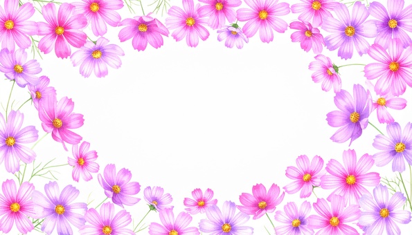 コスモスのフレーム