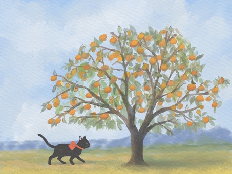 柿の木と黒猫 柿,柿の木,木,果物,秋,風景,猫,黒猫のイラスト素材