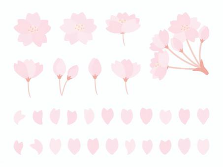 桜の花のイラスト素材セット02 桜の花のイラスト素材セット02 桜,さくら,桜の花,春,花,花びら,入学,入学式,新生活,かわいいのイラスト素材