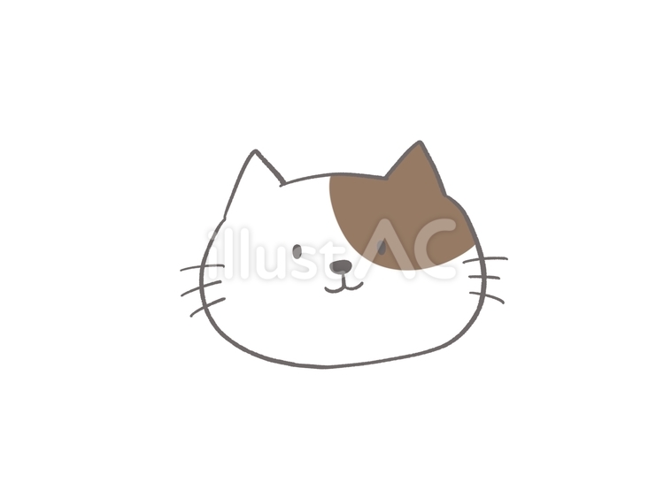 かわいい白と茶色の猫の顔 猫,ネコ,動物のイラスト素材