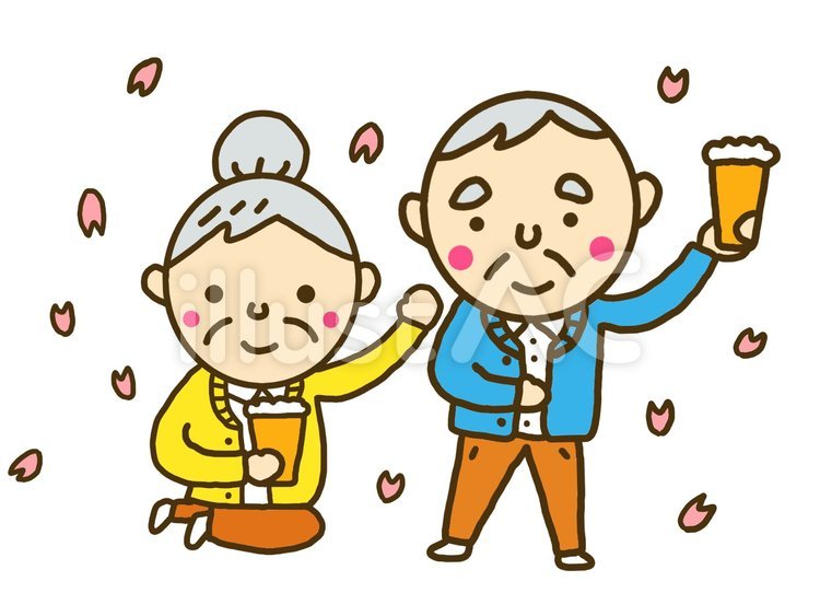 お花見を楽しむおじいさんとおばあさん お花見,桜,シニアのイラスト素材