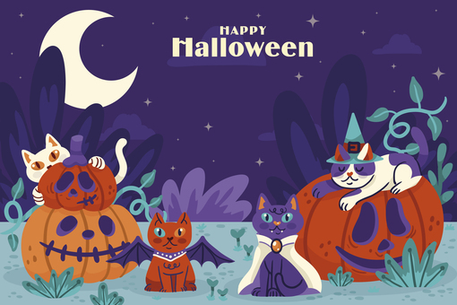 ハロウィン 006 ハロウィン,猫,仮装,魔女帽子,コスチューム,ハロウィン猫,三日月,星の夜,ジャックオーランタン,オレンジのイラスト素材