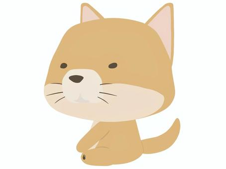 座っている茶色い犬