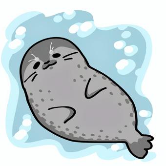 アザラシさん アザラシ,ゴマフアザラシ,生き物,かわいい,デフォルメ,白背景,水,海のイラスト素材