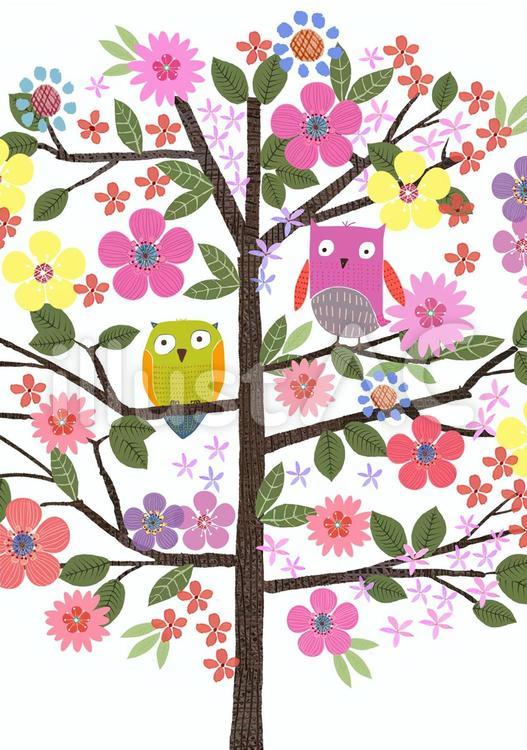 フクロウ フクロウ,花,水彩のイラスト素材