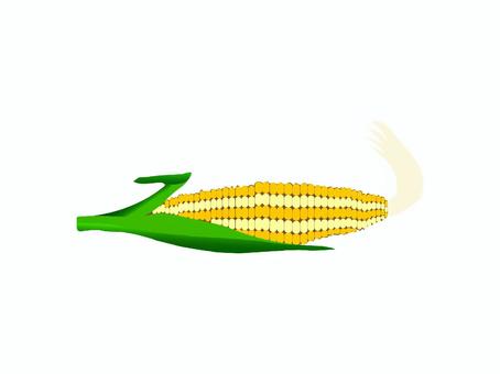 Illustration, corn, vegetables, foodstuff, 