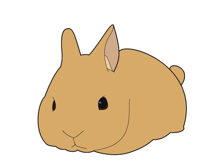 Illustration, kelinci, pet, cute, 
