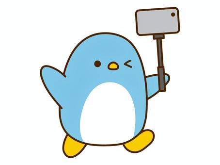 自撮り棒を使って撮影するかわいいペンギン ペンギン,水色,自撮り棒,撮影,動画,写真,おでかけ,思い出,セルフ,かわいいのイラスト素材
