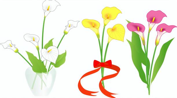 Illustration, color, flower, bouquet, JPG, PNG and AI