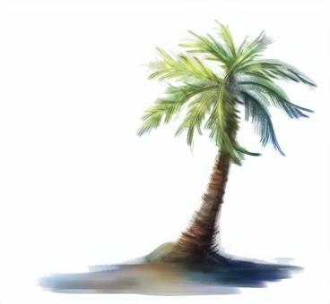 Palm tree, JPG and PNG Palm tree, , JPG and PNG