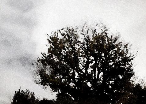 水墨画調の樹影のモノクロ背景 水墨,和風,樹,樹影,木,モノクロ,白黒,黒,灰色,グレーのイラスト素材