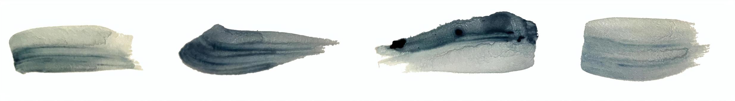Illustration, आबरंग, पेन पाठ, सुलेख, 