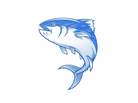 寿司ネタでも大人気の鮪(マグロ) マグロ,鮪,ツナ,食用,海産物,手描き,尾びれ,背びれ,リアル,精密のイラスト素材