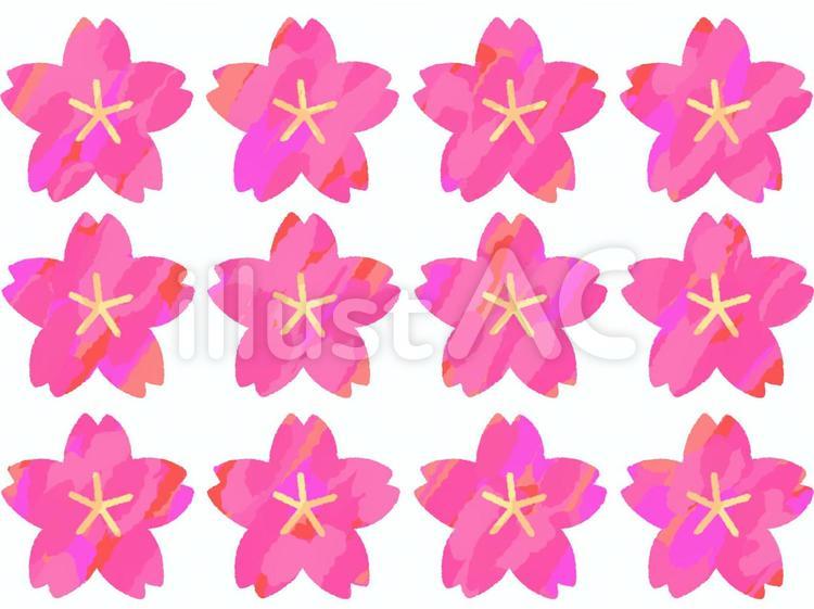 桜 桜,植物,春のイラスト素材