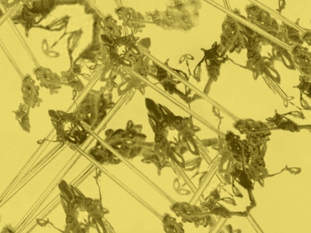 淡彩ステンドグラス-イエロー01 イエロー,黄色,マスタード,ステンドグラス,背景,抽象,キラキラ,透明感,グラデーション,ぼかしのイラスト素材