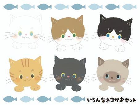 Illustration, cat, nyanko, animal, 
