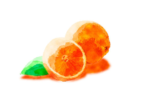 Illustration, orange, fruit, peinture à l'aquarelle, 