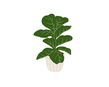 観葉植物02 緑,植木鉢,観葉植物,ナチュラル,手書き,植物のイラスト素材